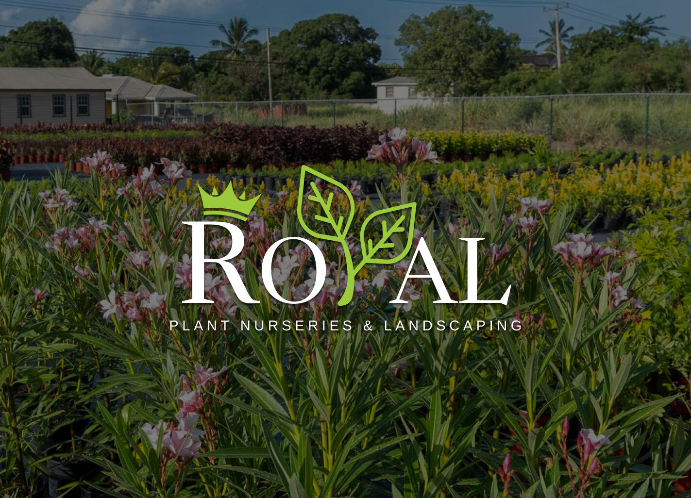 Royal Plant Nurseries Logo